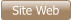 Site Web